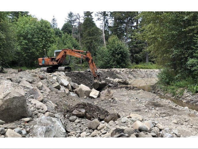 Property owner fined $60,000 for destroying vital fish habitat on Vancouver Island, B.C.
