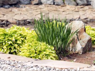How Much Does Landscape Design Cost in Toronto?