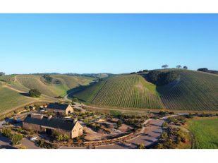 Niner Wine Estates Selects Winebow Fine Wine & Spirits as their California Distribution Partner