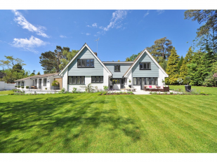 A New Look for Your Home: Step-by-Step Renovation and Improvement Guide