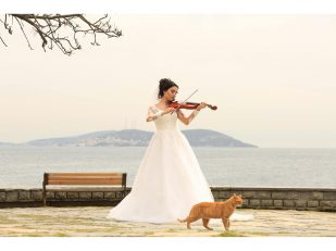 Pet Friendly Wedding Venues in Columbus for Furry Ring Bearers