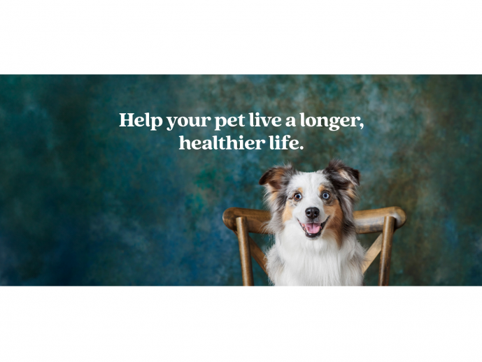 Fetch partners with SATELLAI to introduce AI-powered Collar for Dogs