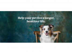 Fetch partners with SATELLAI to introduce AI-powered Collar for Dogs