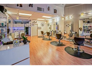 Young Attitudes: La Jolla's Premier Hair Salon for Over 40 Years
