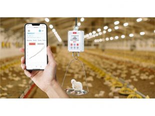 The Hidden Monitoring Gap That's Costing Poultry Farmers Thousands Every Week