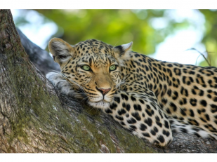 5 Honeymoon Ideas That’ll Blow Your Mind