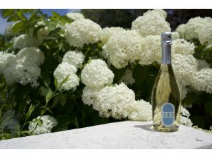 Lo Secco Prosecco DOC, Brut Nature: Zero-Sugar, Low-Carb, Vegan Sparkling Wine Launches in the U.S.