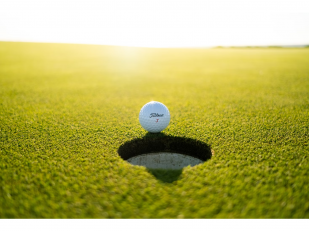 Betting on the 2025 PGA Tour: Market Odds, Player Picks & Golf Parlays