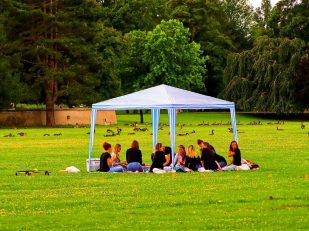 From Park Picnics to Evening Fireworks: Scents for Family Fun