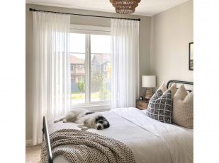 Curtarra Unveils Tom Durable Scratch Resistant Sheer Curtains, Solution for Pet-Friendly homes