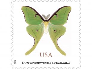 Fly by Night: Catch a Luna Moth Near You