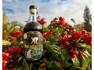 India's Bandarful Named World's Best Liqueur with Gold Medal at USA Spirits Ratings 2025