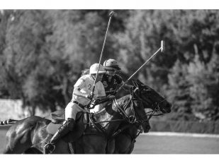 Queen's Polo Cup Launches in Charlotte, NC: A New Annual Tradition in the Queen City