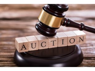What Are Auction Vacation Packages & How to Choose?