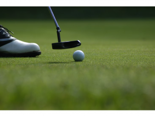 Elevated Viewing: Enjoying Live PGA Golf the Right Way