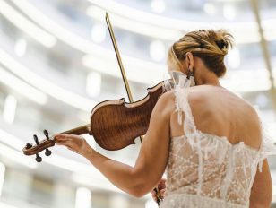 What Makes a Violin More Than Just an Instrument