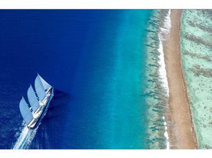 TRIDENT 810: a true world cruiser is ready to build