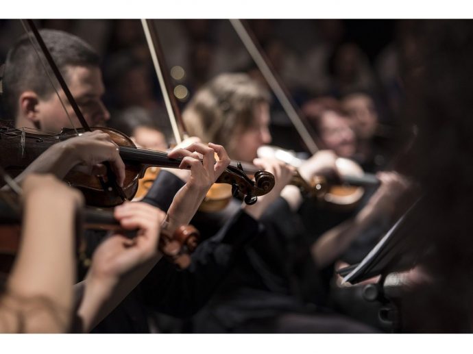 Protecting Your Prized Violin: A Guide to Keeping Your Investment in Perfect Harmony