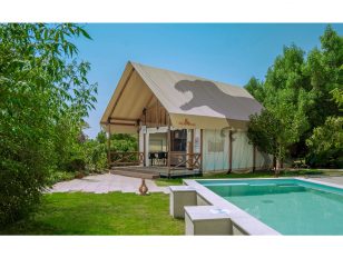 Step into the prehistoric age: T-REX Glamping now open at Dubai Parks™ and Resorts