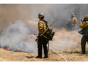 Community Preparedness as an Element of Daily Health