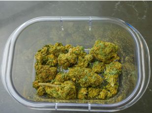 Luxury Cannabis Explained: Quality, Provenance, Service, Law