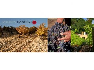 Wilson Daniels Welcomes Chateau Montelena to National Portfolio