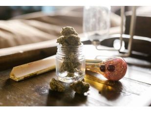 What Makes Lemon Cherry Gelato Bulk So Sweet And Powerful?