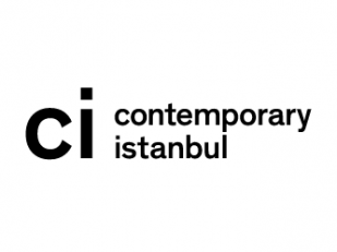 Contemporary Istanbul